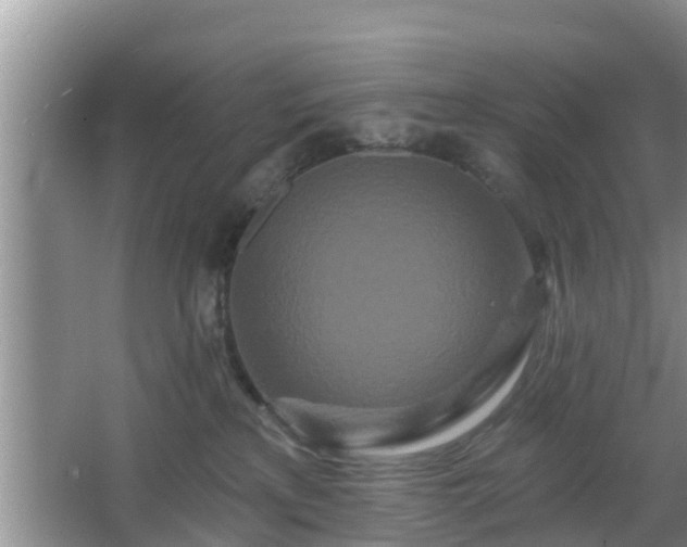 X0000064720233200602131232