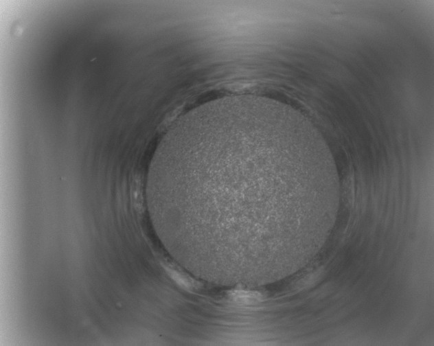 X0000064720234200602131232