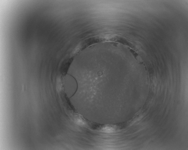 X0000064720236200602131232