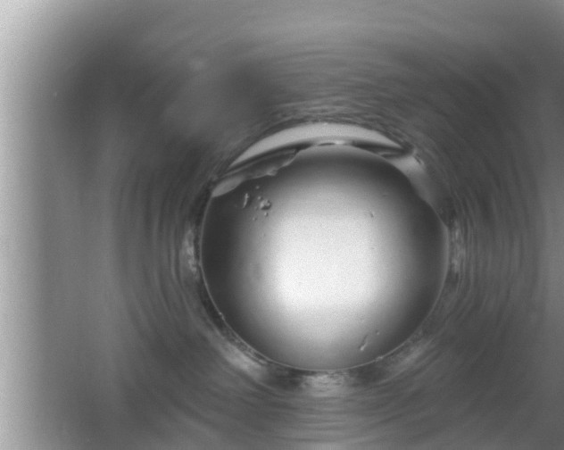 X0000064720238200602131232