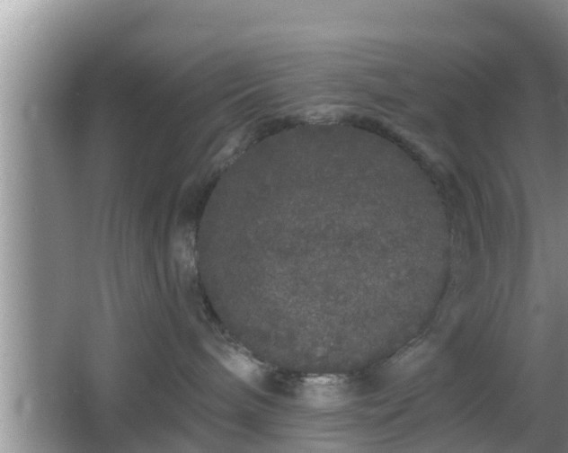 X0000064720240200602131232