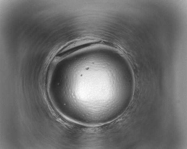 X0000064720241200602131231