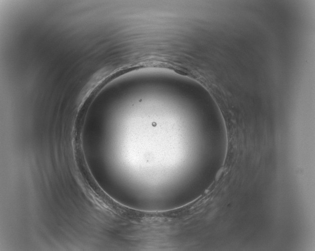 X0000064720242200602131231