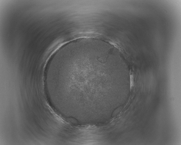 X0000064720243200602131231