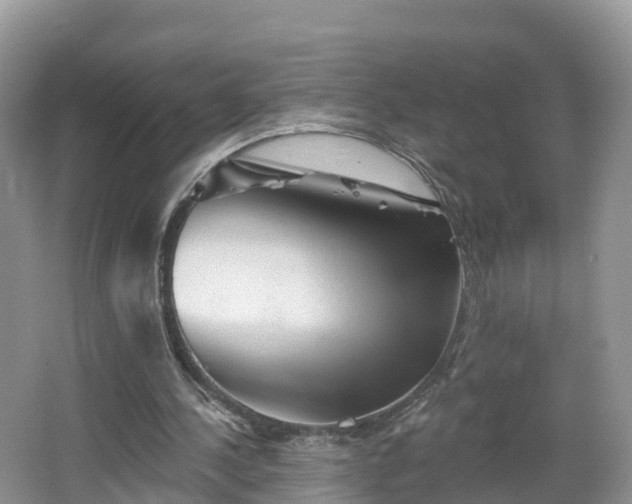 X0000064720244200602131231