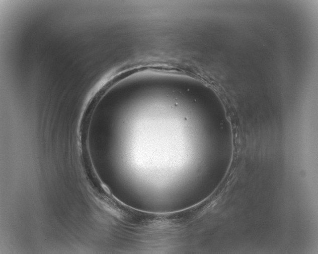 X0000064720246200602131231