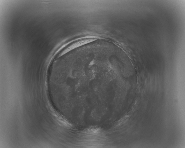 X0000064720247200602131231