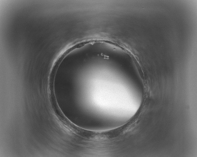 X0000064720248200602131231