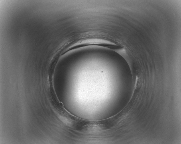 X0000064720254200602131232