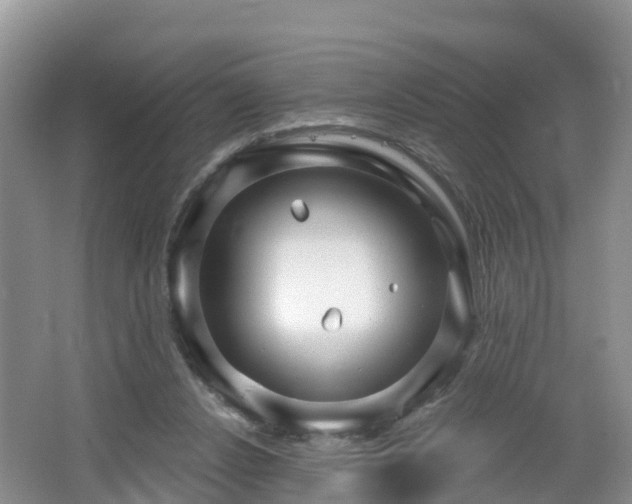 X0000064720256200602131232