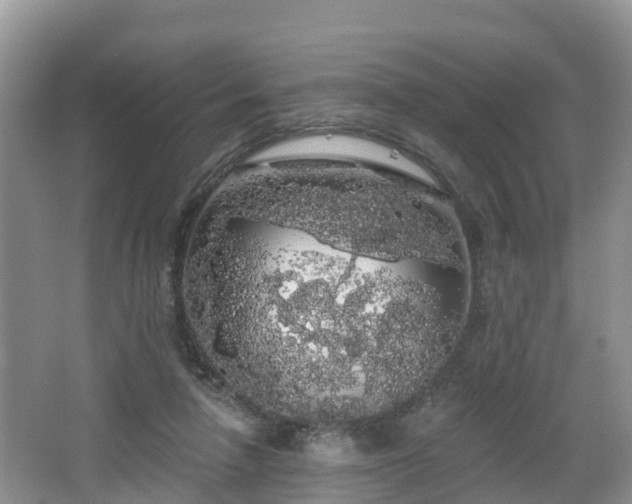 X0000064720258200602131232