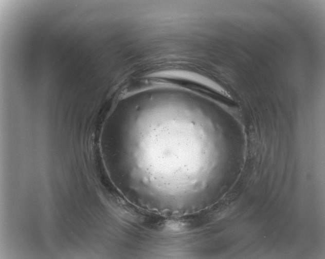 X0000064720263200602131232