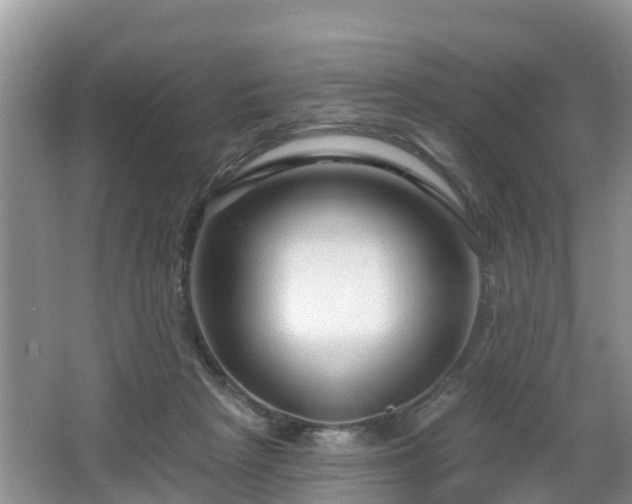 X0000064720265200602131232