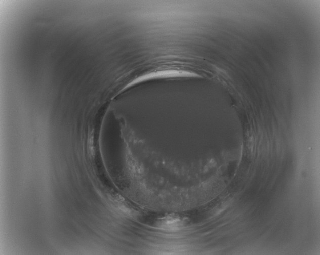 X0000064720267200602131232