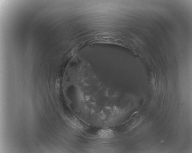 X0000064720271200602131232