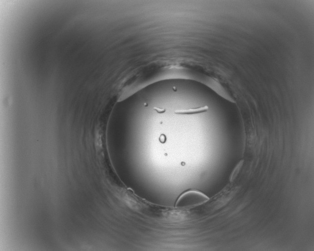 X0000064720282200602131232