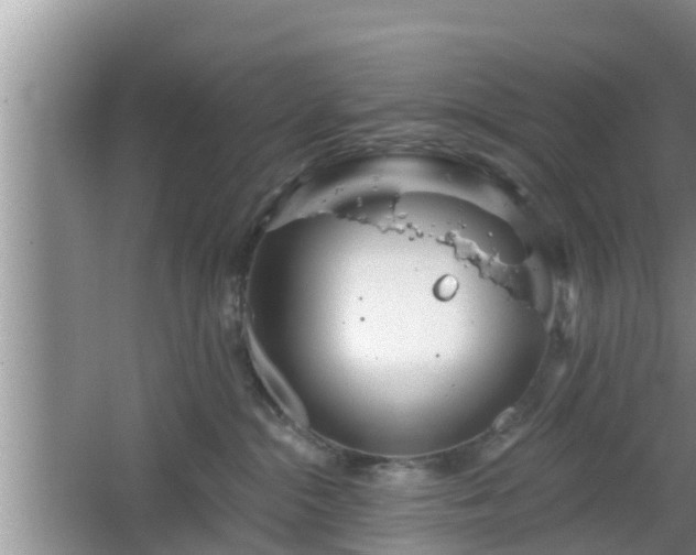 X0000064720284200602131232