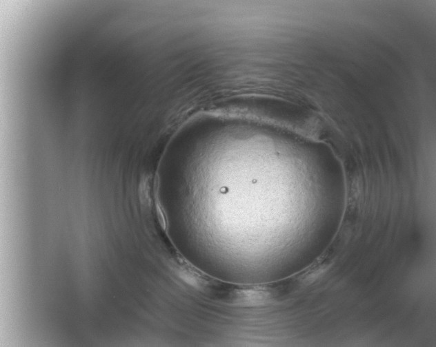 X0000064720286200602131232