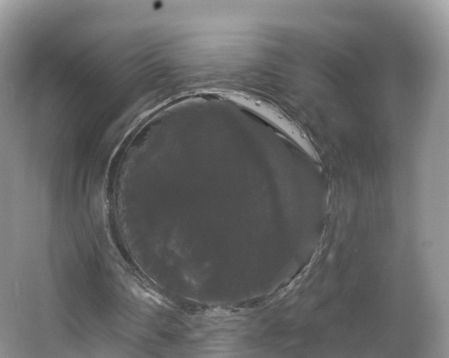 X0000064720290200602131231