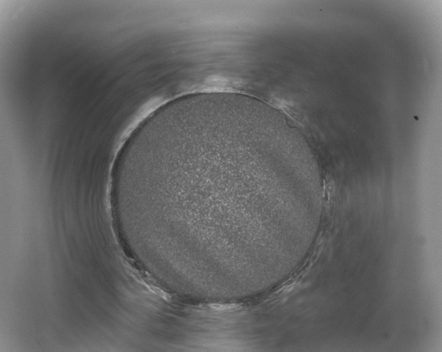 X0000064720292200602131231