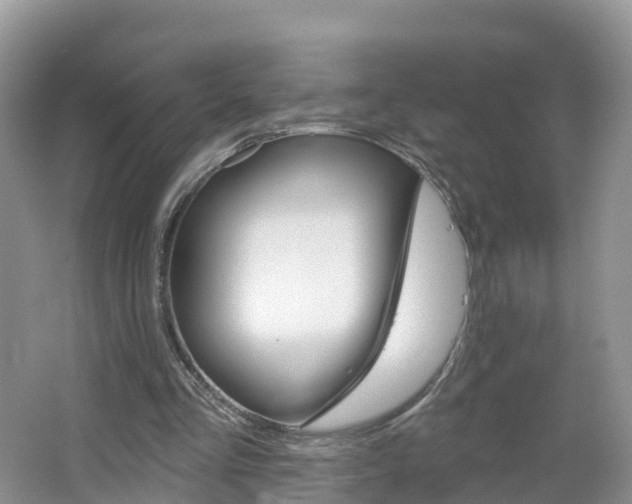 X0000064720293200602131231