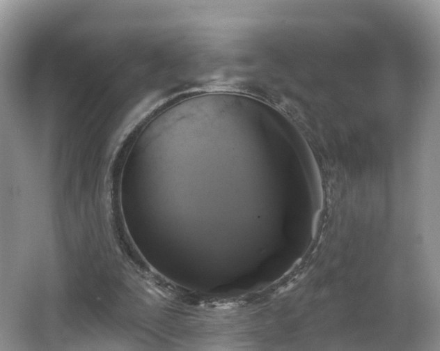 X0000064720295200602131231