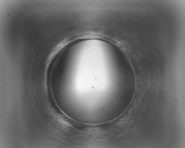 X0000064720296200602131231