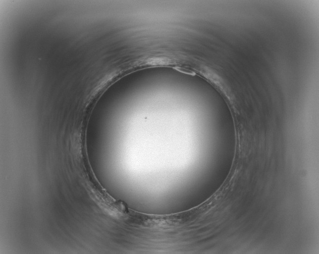 X0000064720297200602131231