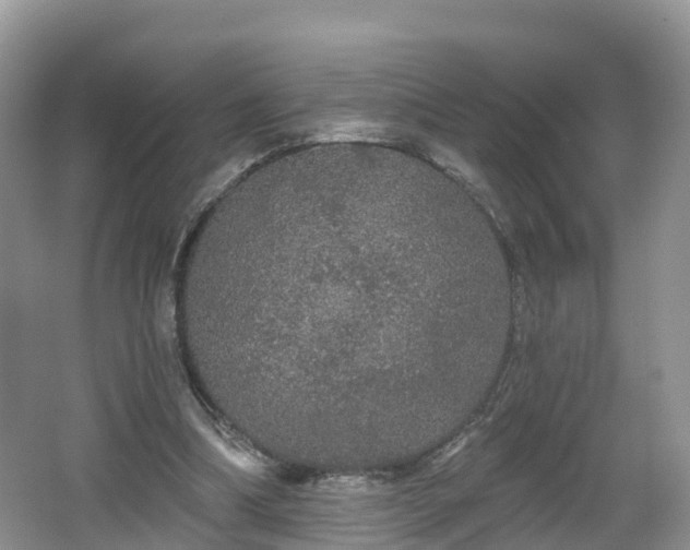 X0000064720298200602131231