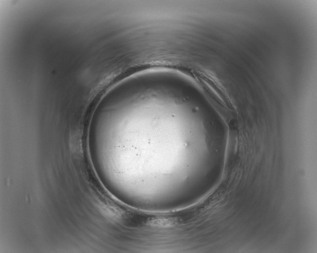 X0000064720299200602131231