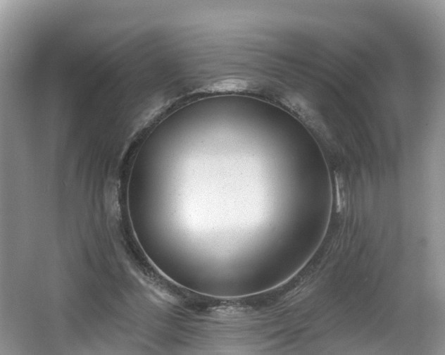 X0000064720300200602131231