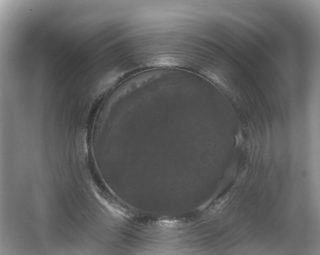 X0000064720302200602131231