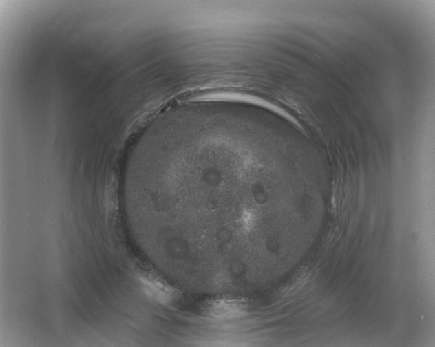 X0000064720303200602131231