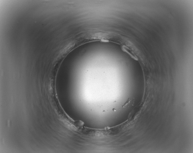 X0000064720305200602131231