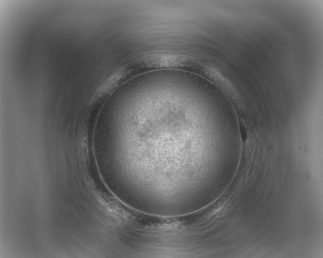 X0000064720306200602131231