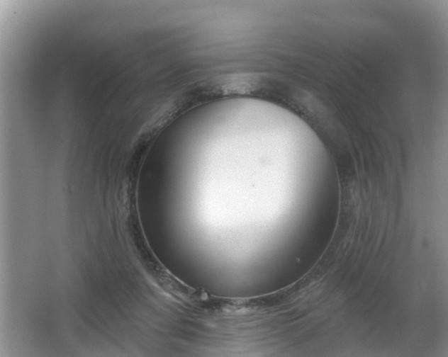 X0000064720311200602131231