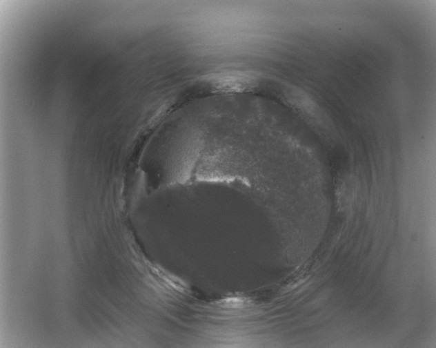 X0000064720314200602131231