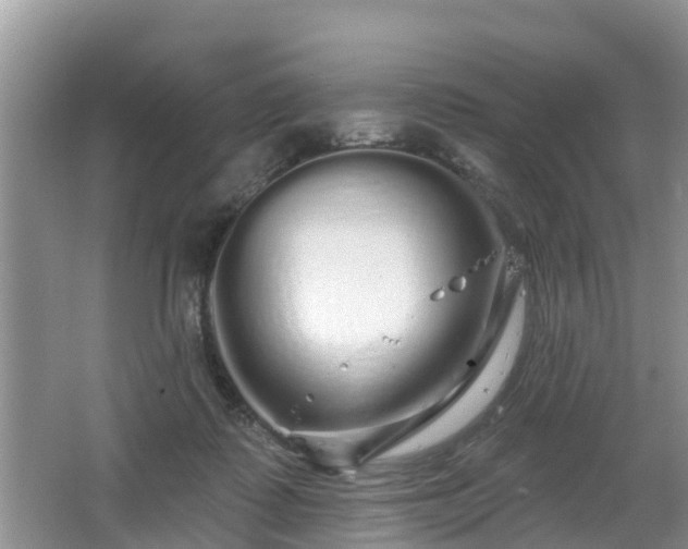 X0000064720315200602131231