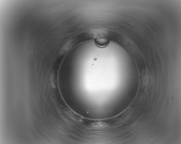 X0000064720316200602131231