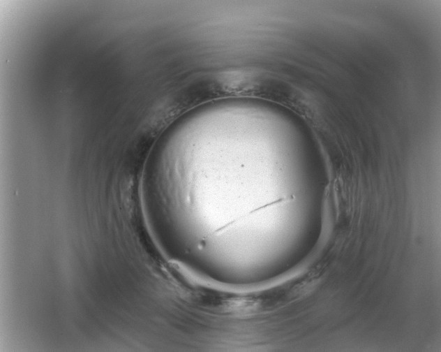 X0000064720319200602131231