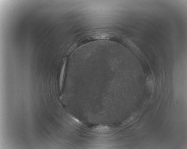 X0000064720322200602131231