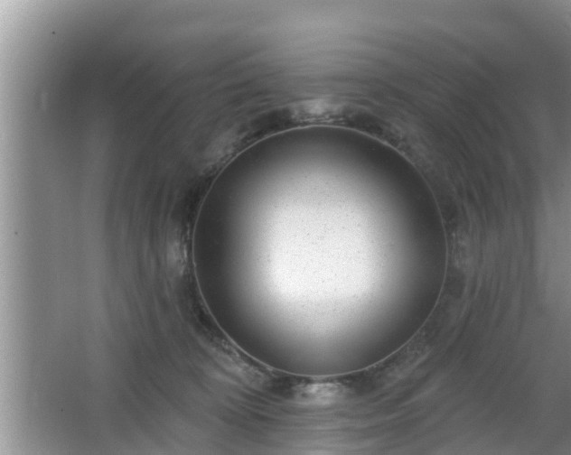 X0000064720324200602131231