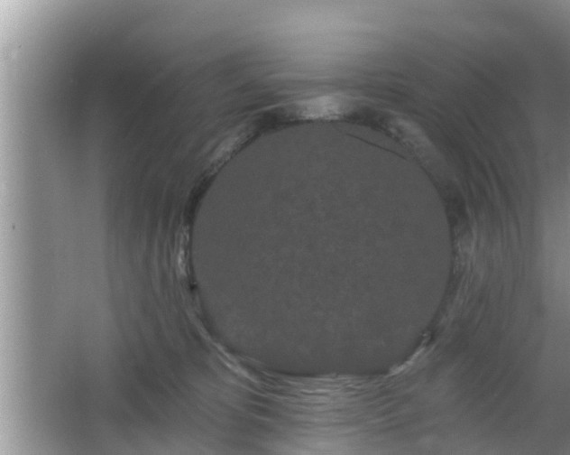 X0000064720325200602131231