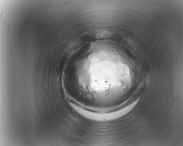 X0000064720327200602131231