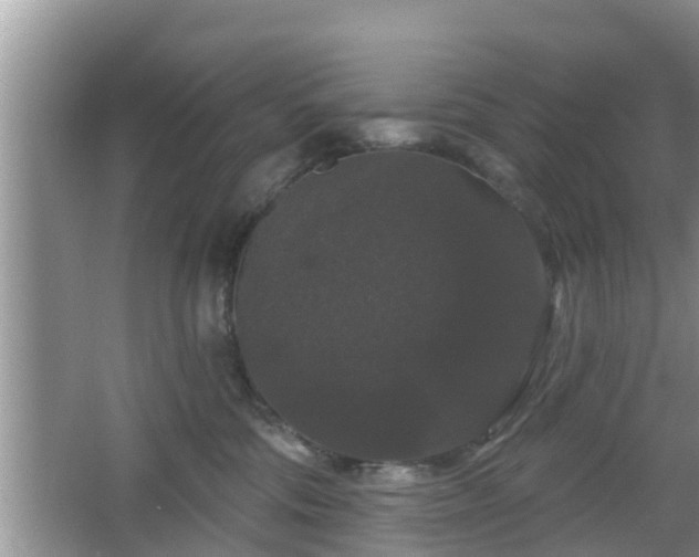 X0000064720330200602131231