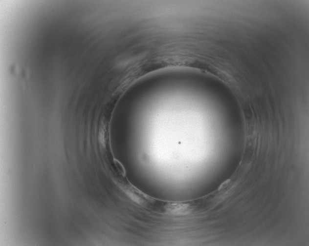 X0000064720334200602131231