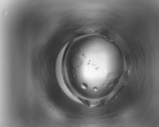 X0000064720335200602131231