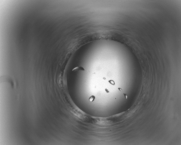 X0000064720336200602131231