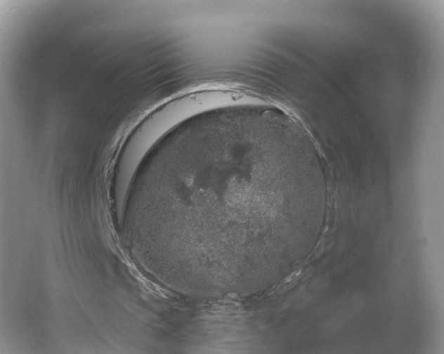 X0000064720337200602131230