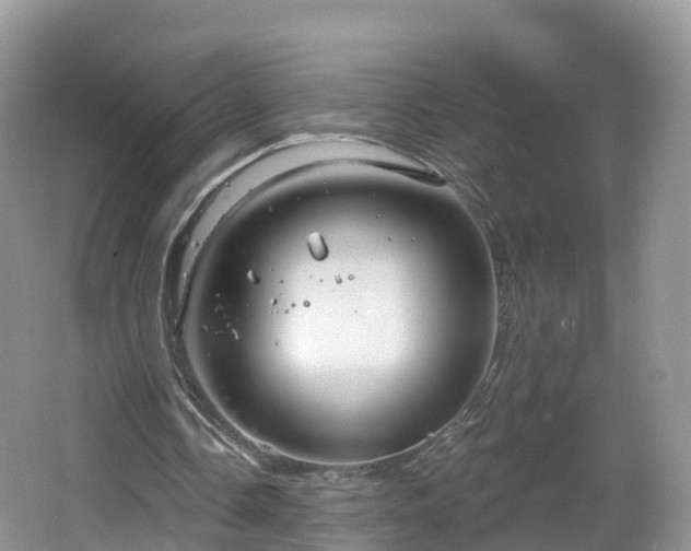 X0000064720338200602131230